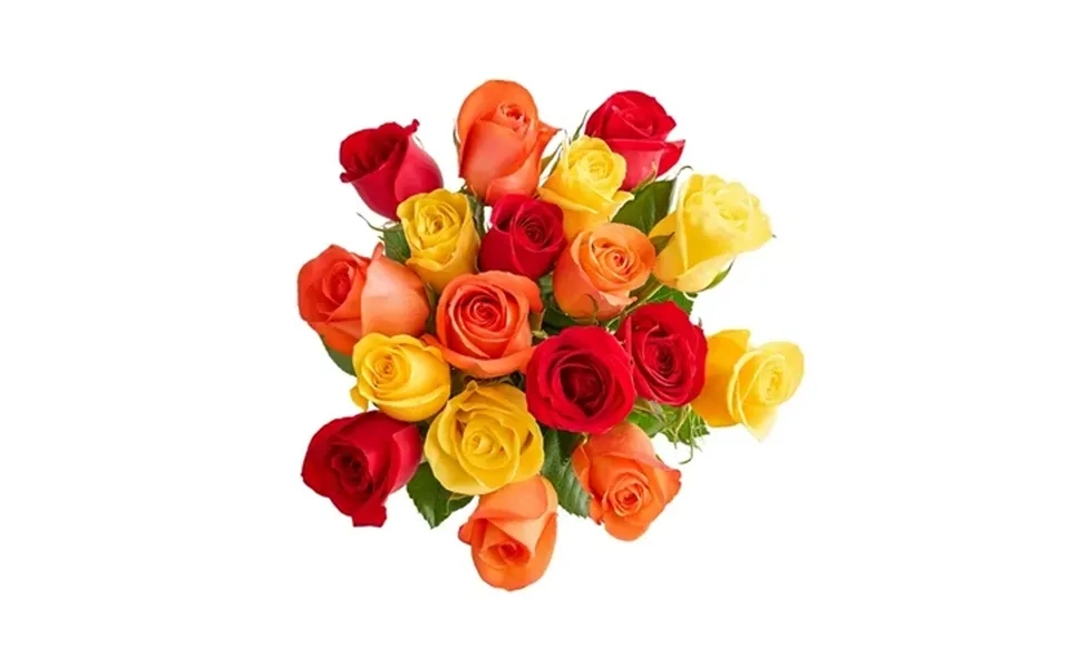 1800 Flowers - Autumn Rose Bouquet Only 18 Red Orange & Yellow Roses Decorative