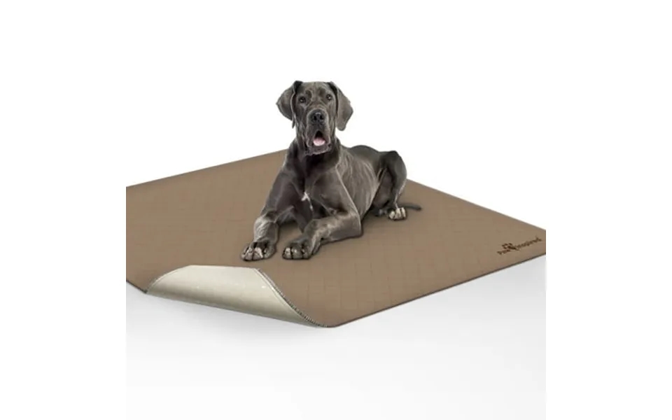 1ct Paw Inspired Washable Dog Pee Pads 72x72 Inch Reusable Puppy Training Pads For Dogs Waterproof Whelping Pads Absorbe