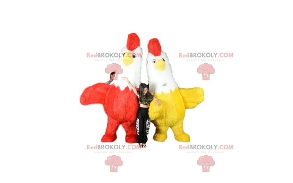2 Mascots Of Hens Bicolour Inflatable Roosters