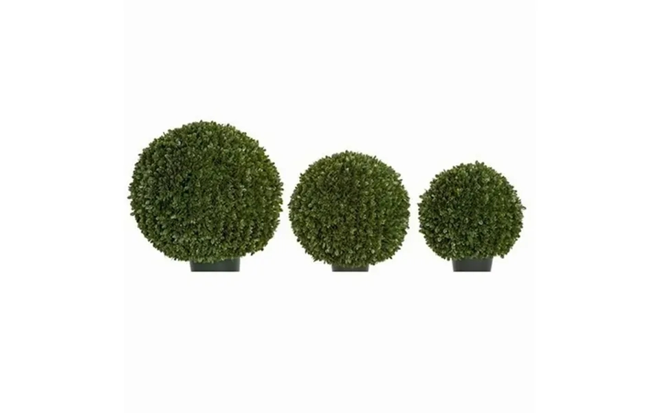 24 In. Japanese Boxwood Ball Topiary Tutone Green