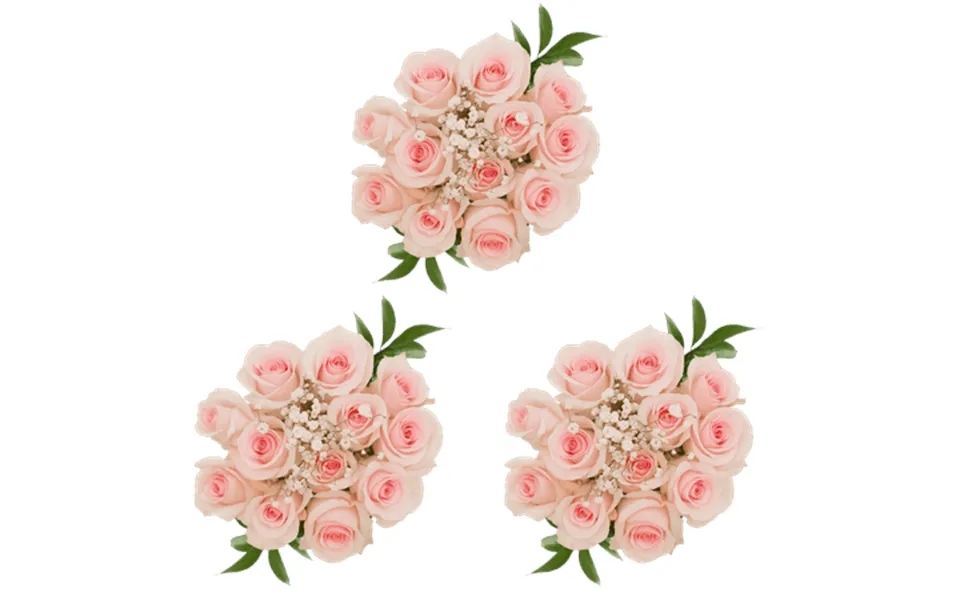 3 Dozen Pink Roses With Baby S Breath And Green- Fresh Flower Delivery