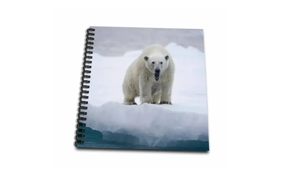 3drose Norway Svalbard Polar Bear Iceberg - Eu21 Pso0325