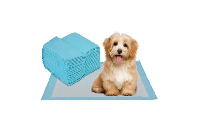 40-100pcs Dog Pee Pads 13*17 17*23 23*23 Medium Puppy Pee Training Pads Super Absorbent & Leak-proof Disposable Pet Pidd product image
