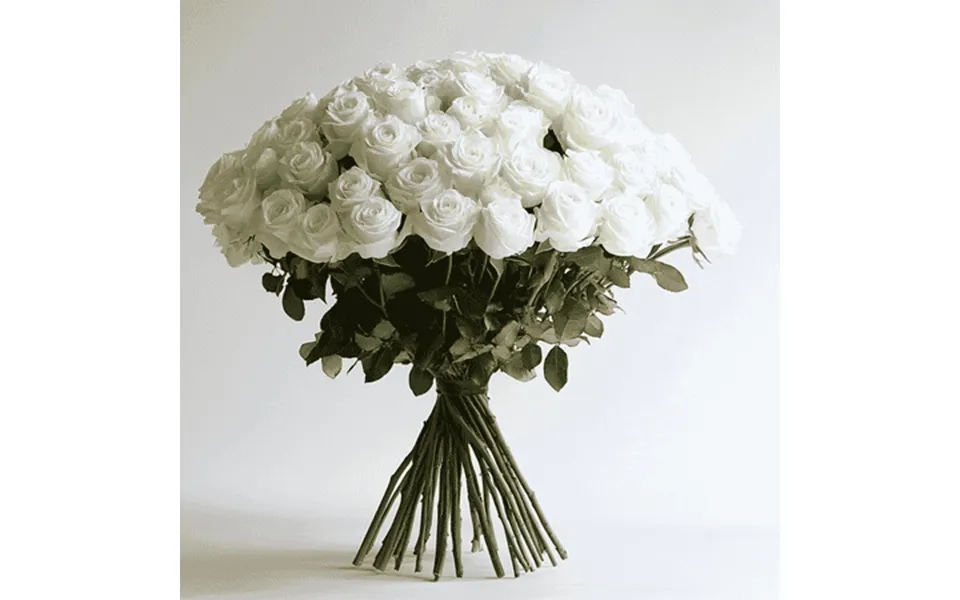 50 Stems Of White Roses - Fresh Flower Delivery For Valentine S Day