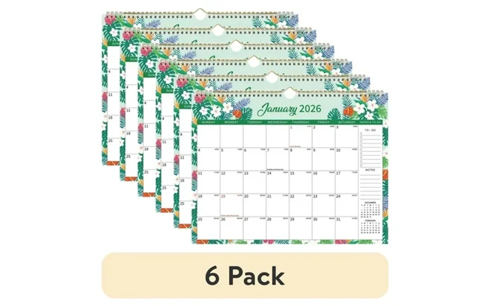 6 Pack Omeya 2026 Wall Calendar Monthly Calendar From Jan. 2026 To Dec