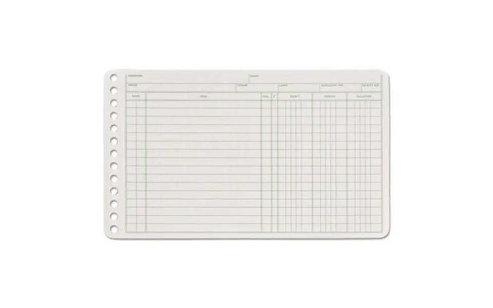 Adams Business Forms Arb58100 Ledger Binder Refill Sheets 6-ring - Green & White