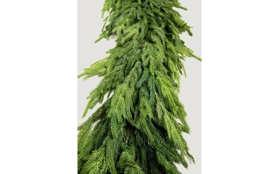 Afloral Real Touch Deluxe Norfolk Pine Garland - 96