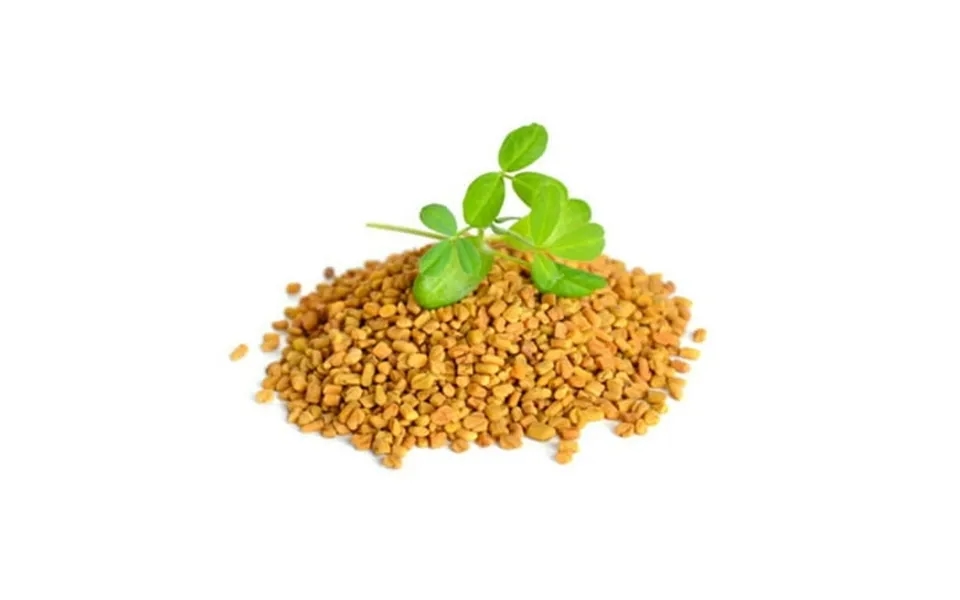 Aiva Fenugreek Seeds Methi 14 Oz