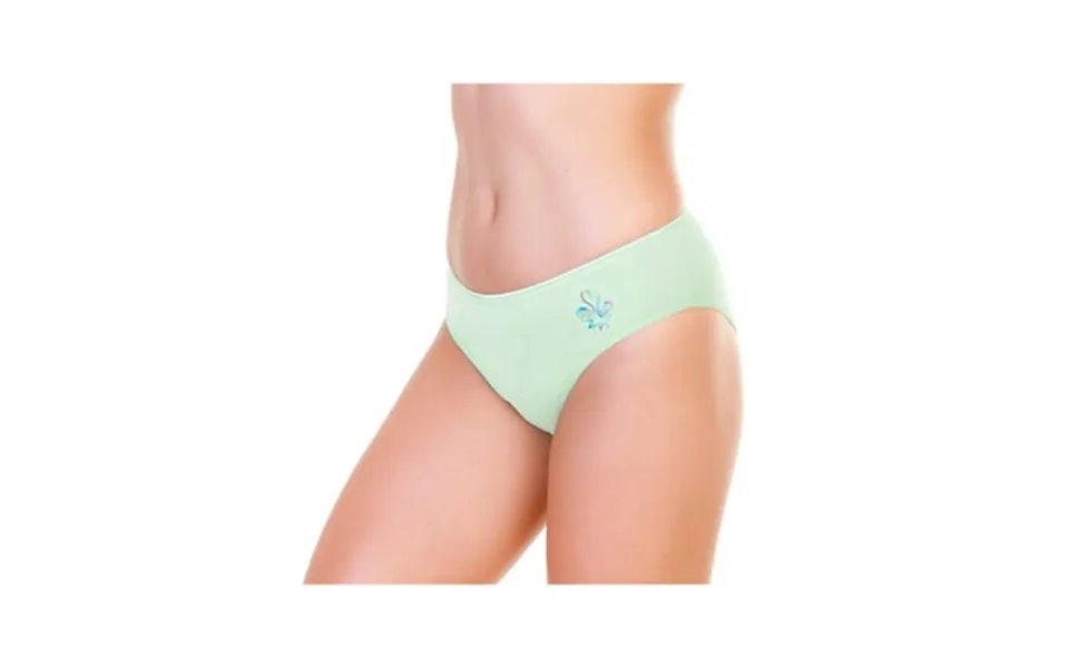 Angelina Cotton Bikini Panties With Flamingo Embroidered Design 12-pack