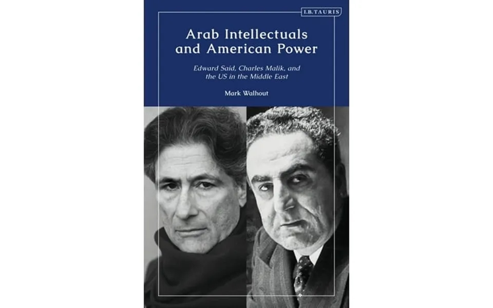 Arab Intellectuals And American Power Edward Said Charles Malik And The Us In The Middle East Hardcover