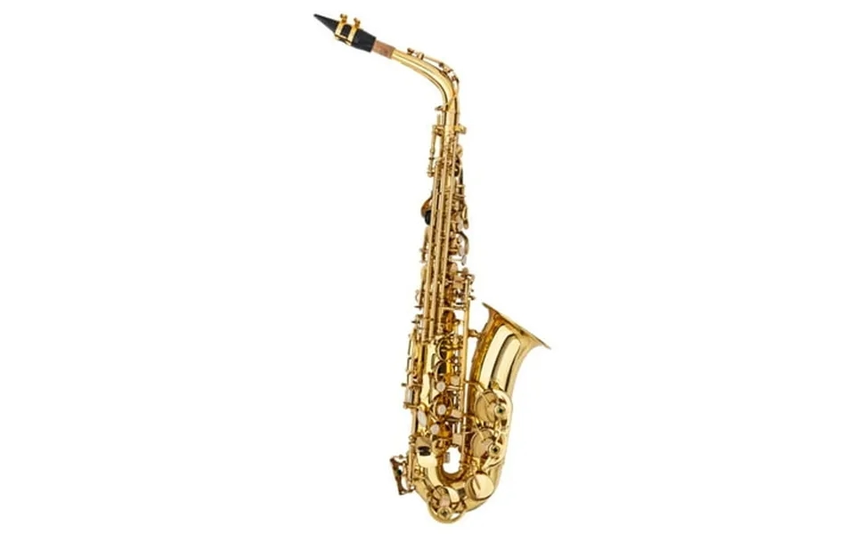 Baytocare Professional Alto Eb Sax Saxophone Gold