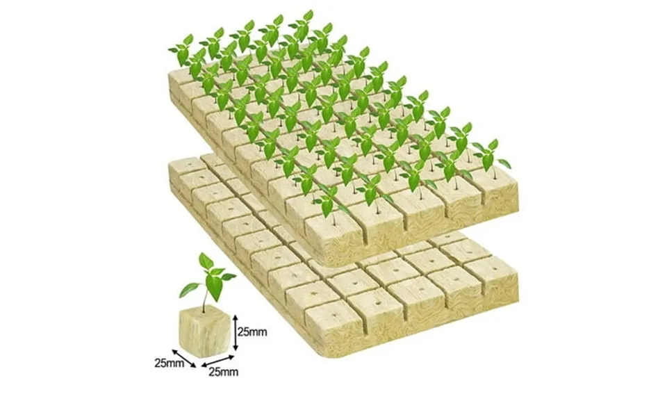 Bclong Flower Soilless Culture Substrate Wool Block Grodan Cubes 25*25*25mm