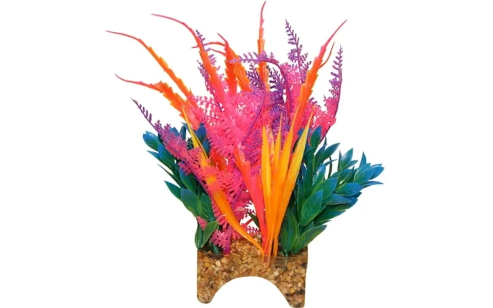 Blue Ribbon Vibran-sea Garden Clusters Tropical Archway Plant