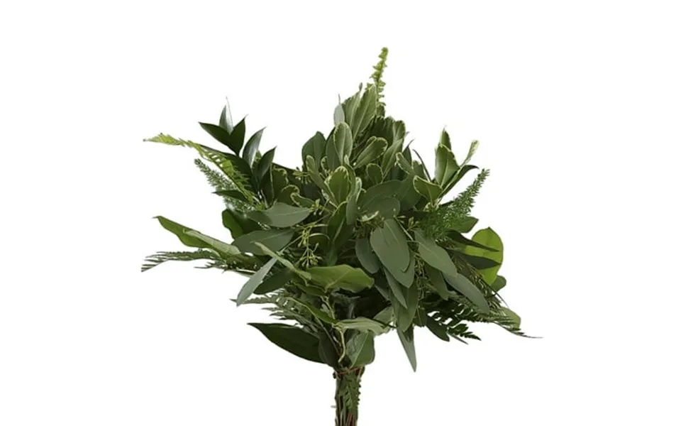 Bohemian Greens Bouquet 15 Pack Of Farm Direct Fresh Cut Flowers Bouquets Of Mixed Greenery By Bloomingmore