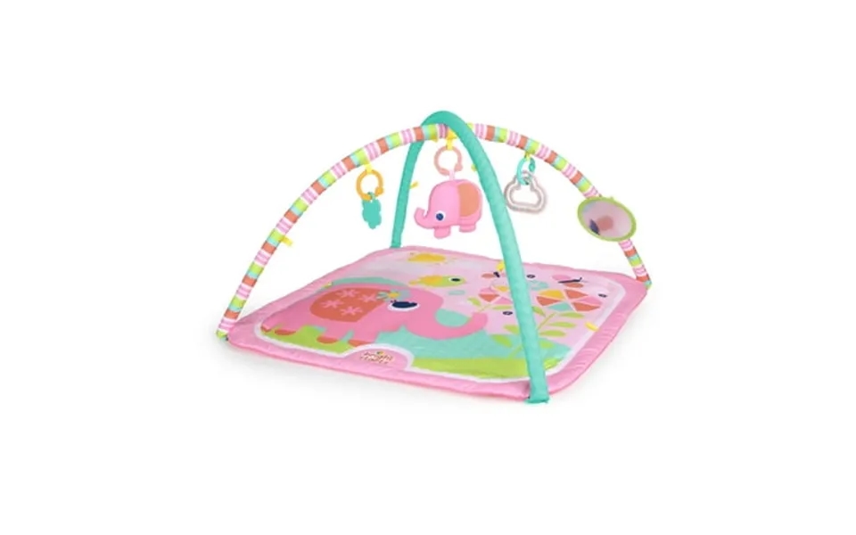 Bright Starts Fanciful Flowers Baby Activity Gym And Play Mat - Pink