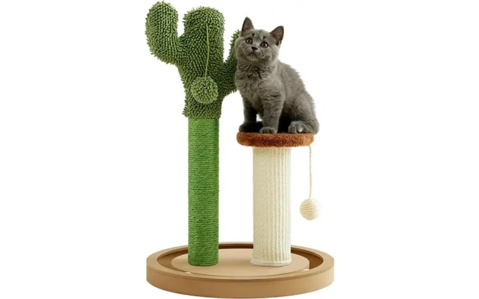 Cactus Cat Scratching Post 21.7 Tall Interactive Game Track Balls With Sturdy Wood Base