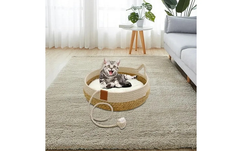 Cat Bed Durable Woven Comfortable Pet Bed For Summer Puppy And Kitten Indoor L White