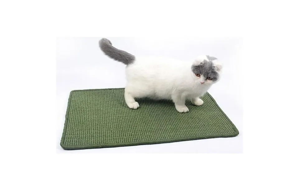 Cat Scratch Scratch Supplies Durable Protect The Sofa Random Prevent Furniture Scratching