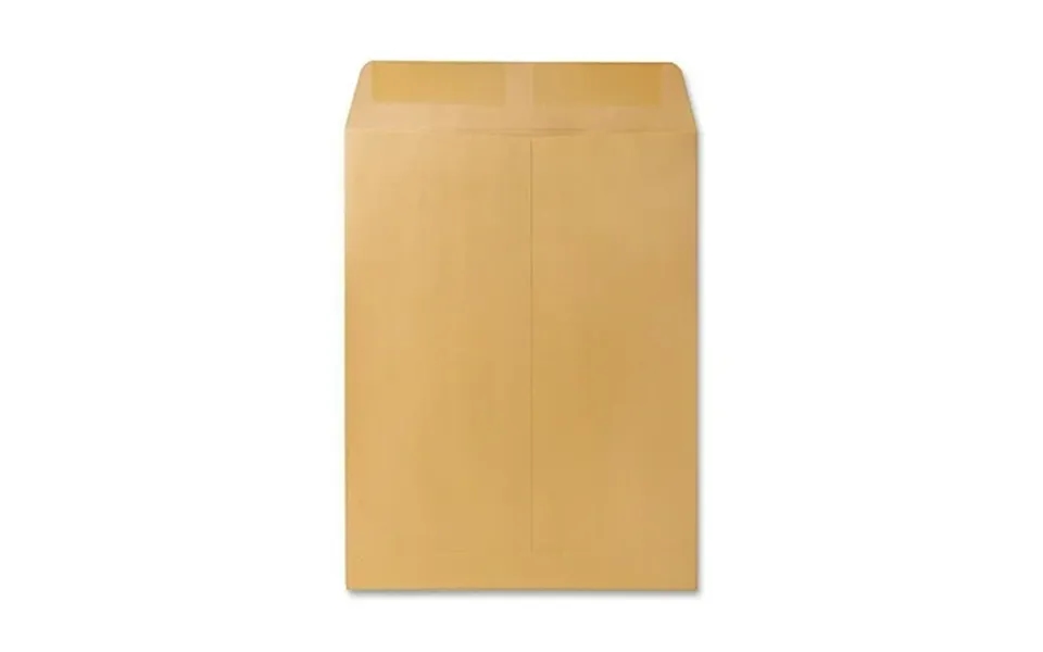 Catalog Envelope 12 1 2 Sq Flap Gummed Closure 9.5 X 12.5 Brown Kraft 250 Box