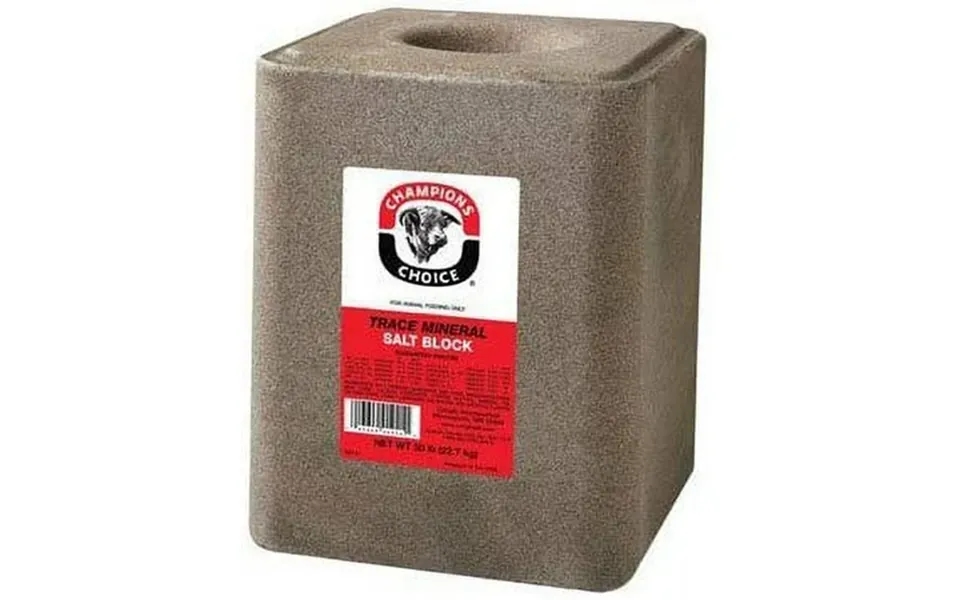 Champions Choice Trace Mineral Salt Block 50 Lb.