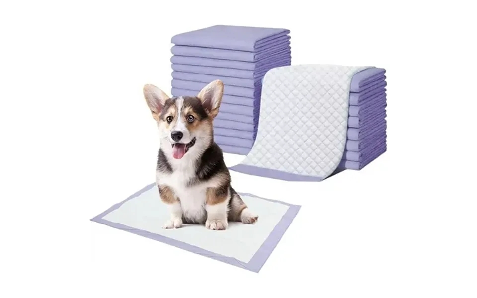 Charcoal Super Absorbency Puppy Pads Activated Carbon Odor-control Xl 28 X34 Leak-proof Pet Training Pee Pads Disposable