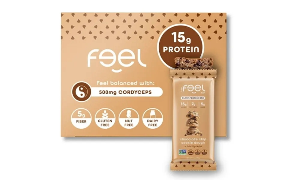 Chocolate Chip Cookie Dough