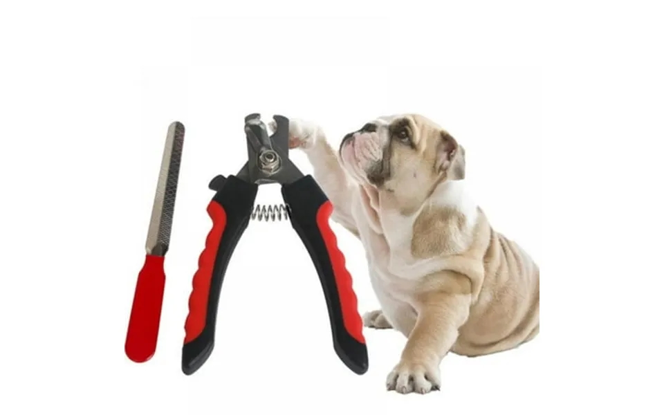 Clearance Dog Nail Clippers And Trimmer Professional Pet Cat Dog Nail Clipper Cutter With Sickle Stainless Steel Groomin