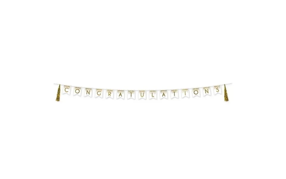 Congratulations Tassel Streamer 13 X 13 1 Pkg