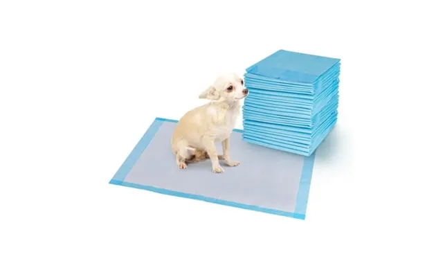 Costway 200 Pcs 24 X 24 Puppy Pet Pads Dog Cat Wee Pee Piddle Pad Training Underpads product image