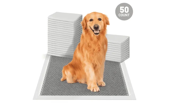 Cshidworld 18 *23 Carbon Odor-control Dog And Puppy Pee Pads 50 Count 6-layer Leak-proof Puppy Pads Super Absorbent Quic product image