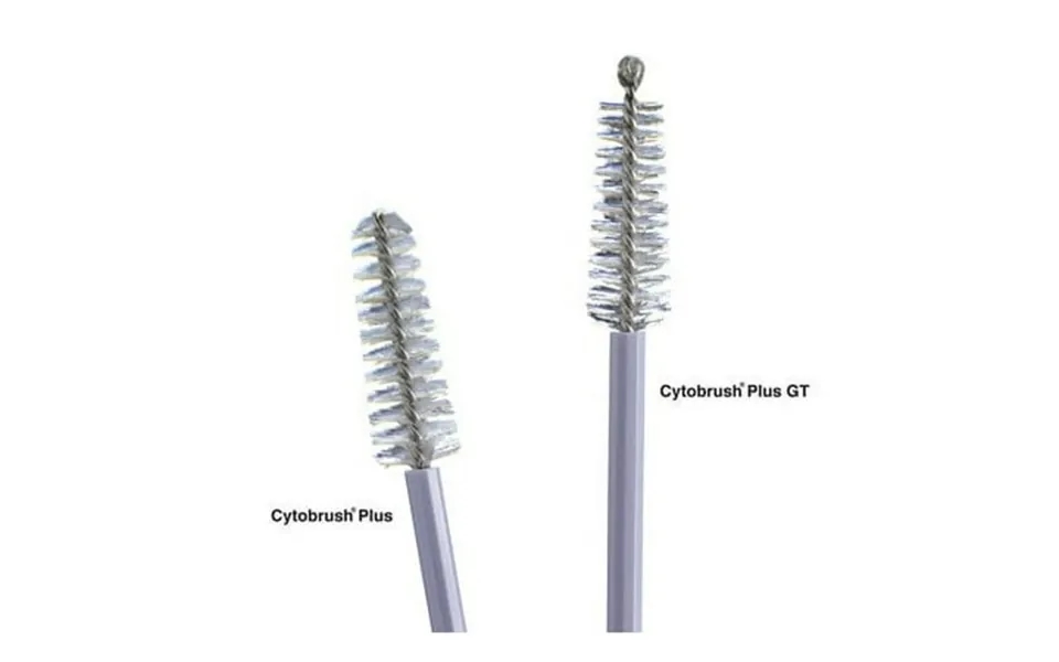 Cytobrush Plus Cytology Brush 196 Mm Length