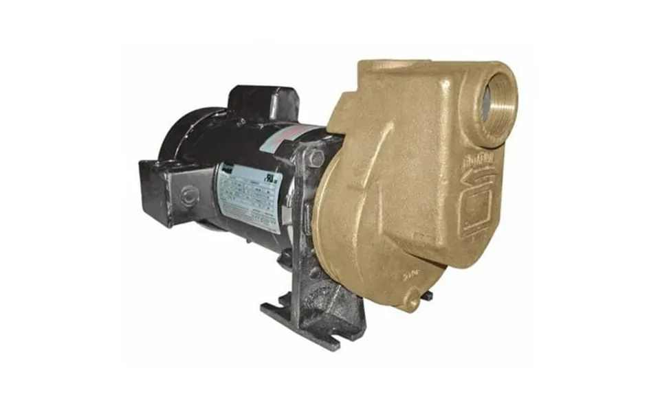 Dayton Self Priming Pump 3 4 Hp Bronze 2zxp9