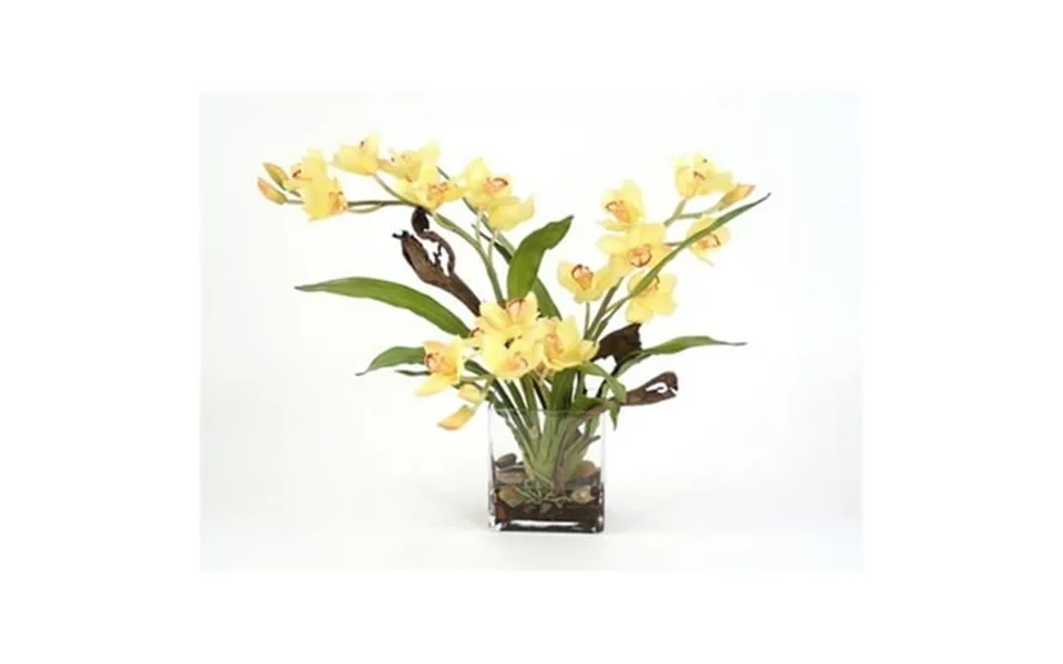 Distinctive Designs International 16107 Waterlook Silk Yellow Orchid Plant With Blades And Natrag In A Rectangular Clear