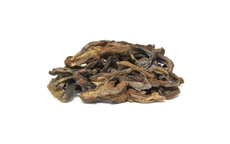 Dried Mushroom Slices Boletus Luteus By It S Delish 5 Lbs Bulk Chilean Sundried Dehydrated And Sliced Mushrooms For Cook