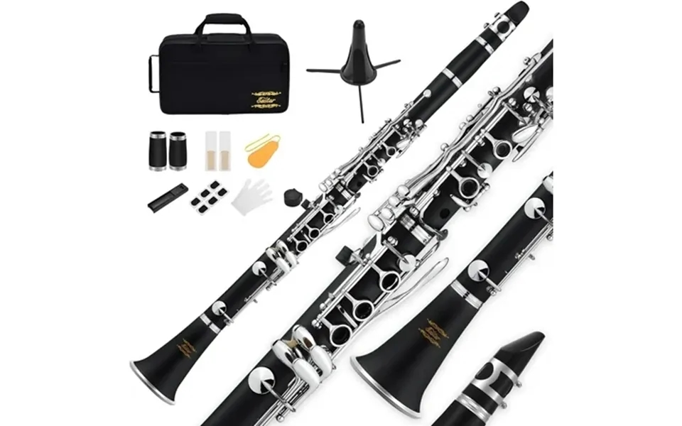 Eastar Clarinet For Beginner Students B Flat 17 Keys Ebonite With 2 Barrels 3 Reeds Stand Gloves Hard Case