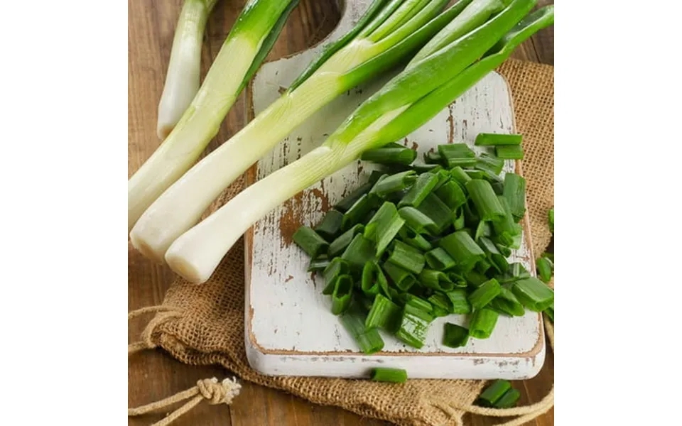 Eden Brothers Onion Seeds Bunching - Tokyo Long White