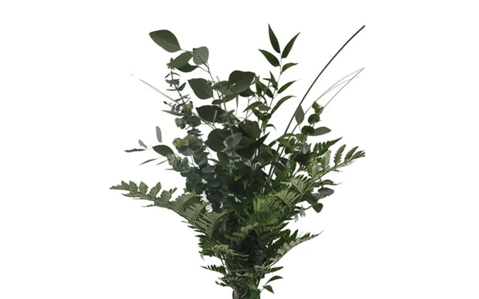Essence Greens Bouquet 15 Pack Of Farm Direct Fresh Cut Flowers Bouquets Of Mixed Greenery By Bloomingmore