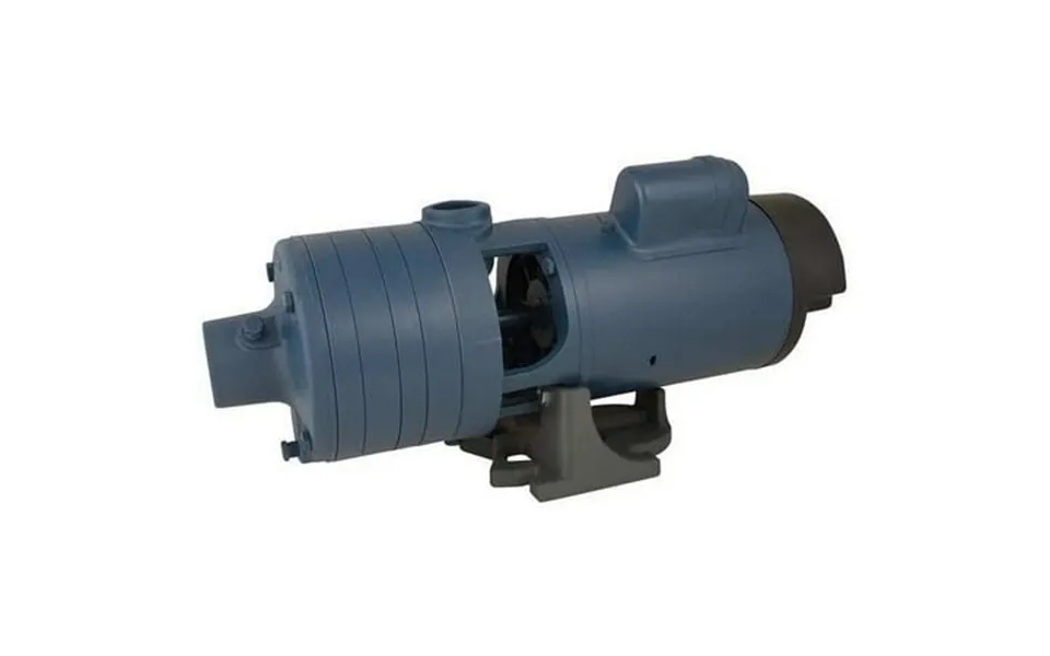 Flint & Walling Booster Pump 2 Hp 1 Phase 115 230v Ac Cj101c201ab