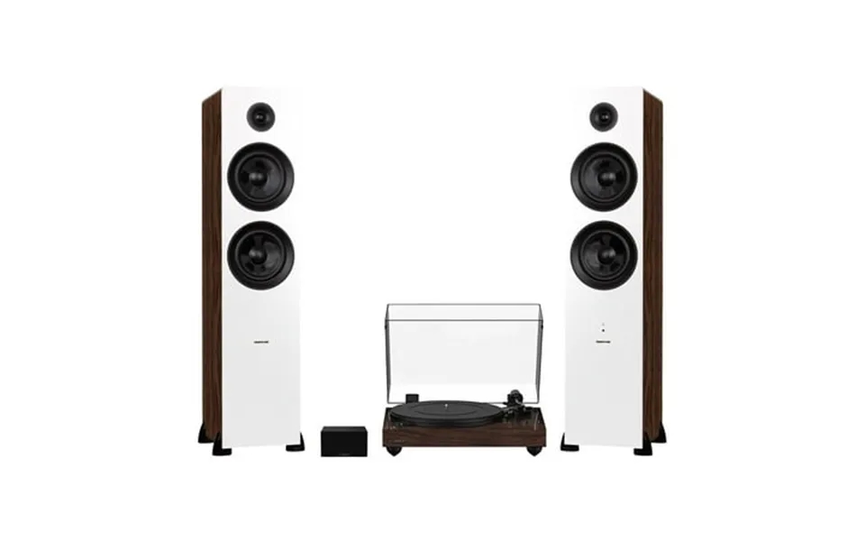 Fluance Rt82 Reference High Fidelity Vinyl Turntable Walnut Pa10 Phono Preamp And Ai81 Powered Floorstanding Speakers Wh