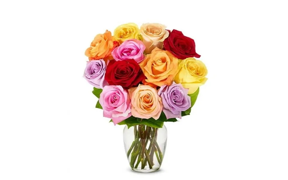 From You Flowers - One Dozen Rainbow Red Orange Pink Purple Yellow Roses With Free Vase Fresh Flowers