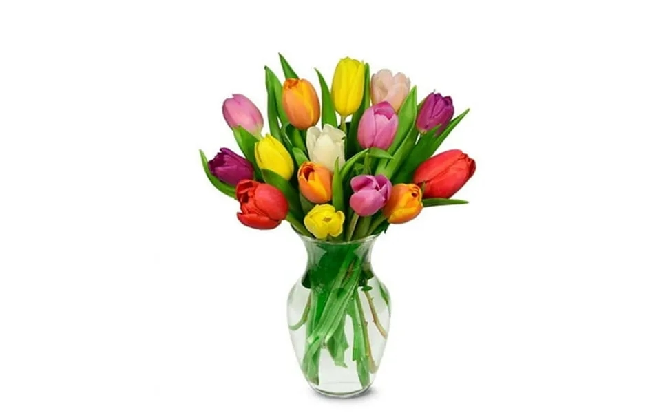 From You Flowers - Rainbow Tulip Bouquet