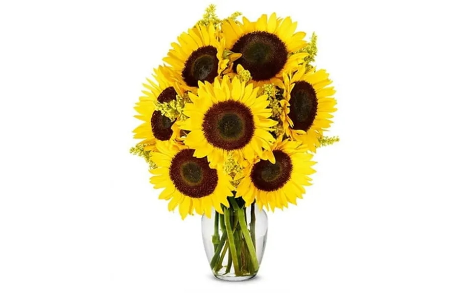From You Flowers - Stunning Sunflowers For Birthday Easter Anniversary Get Well Congratulations Thank You All Occasions
