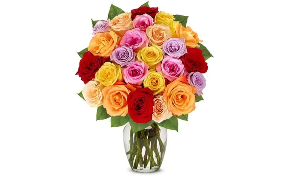 From You Flowers - Two Dozen Rainbow Roses For Birthday Anniversary Get Well Congratulations Thank You All Occasions