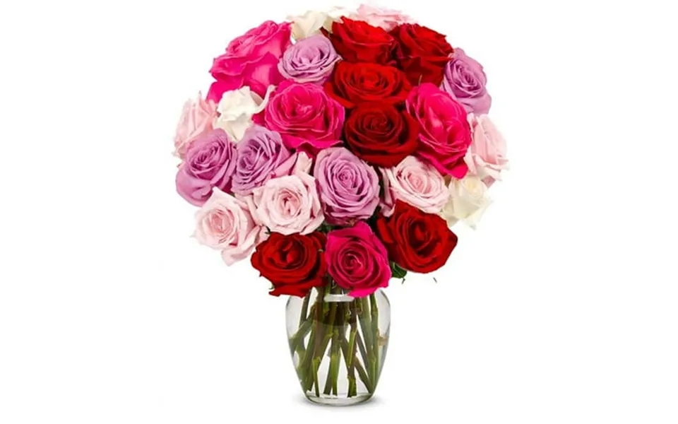 From You Flowers - Two Dozen Romantic Roses For Birthday Anniversary Get Well Congratulations Thank You All Occasions
