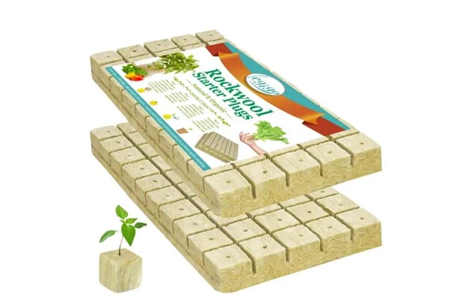 Fun And Grow Fev6 Seeds Seeds Mary Washington Asparagus Green Non Gmo Heirloom