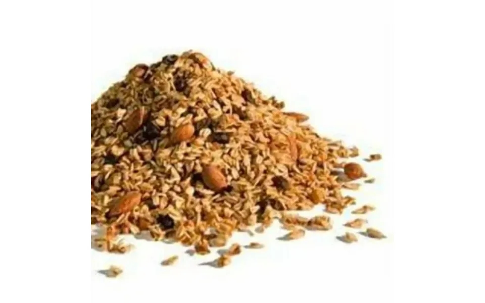 Golden Temple Granola Organic Granola - Blueberry Flax