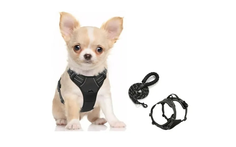 Goodtool Dog Harness Night Reflective Pet Harness With 2m Dog Leash For Small To Medium Dogs