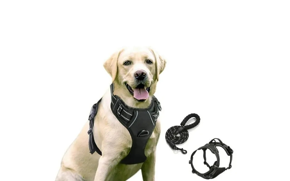Goodtool Dog Harness Night Reflective Pet Harness With 2m Dog Leash For Small To Medium Dogs