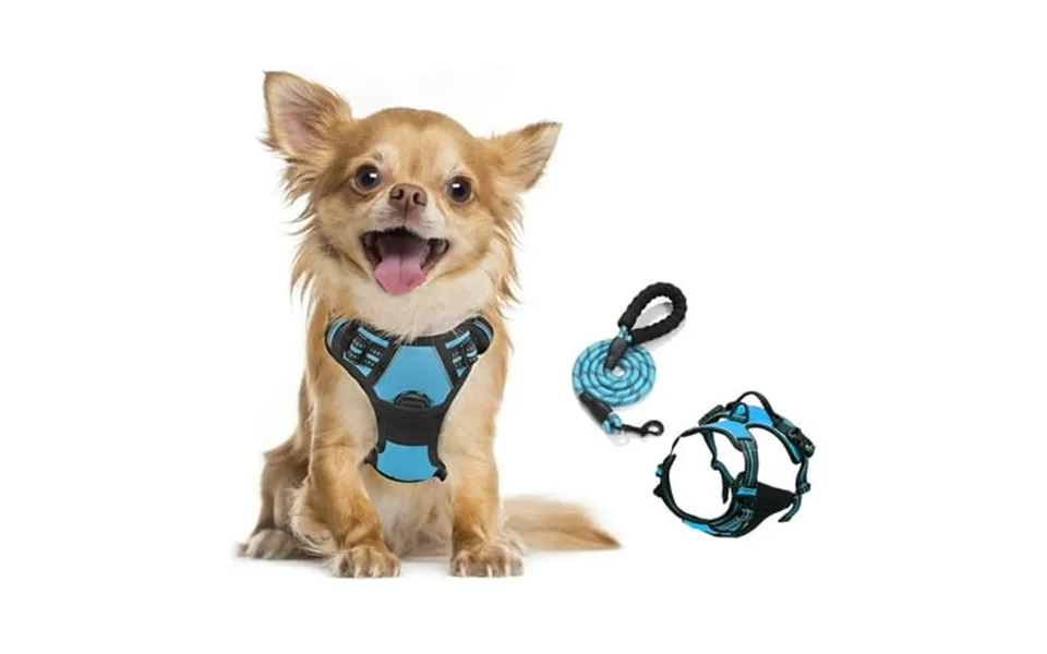 Goodtool Dog Harness Night Reflective Pet Harness With 2m Dog Leash For Small To Medium Dogs
