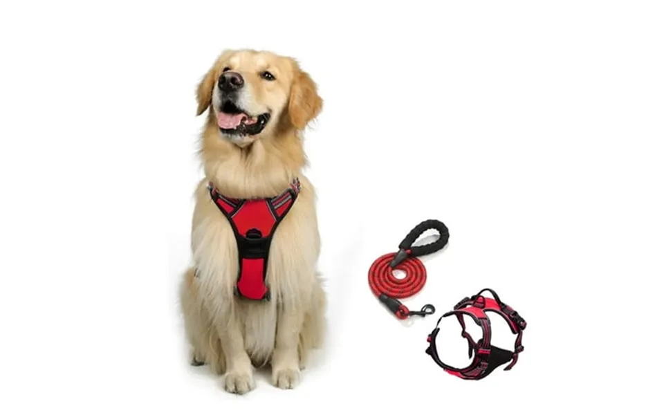 Goodtool Dog Harness Night Reflective Pet Harness With 2m Dog Leash For Small To Medium Dogs